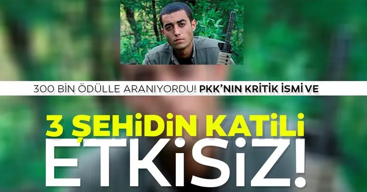 Son dakika: 3 şehidin katili ve PKK’nın kritik ismi öldürüldü