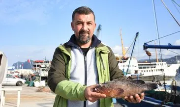 Nesli tehlikedeki orfoz Karadeniz’de: Uzman ismin açıklamaları korkuttu!
