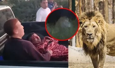Antalya’da aslan paniği! Hayvan parkından kaçtı 1 kişiye saldırdı! #antalya
