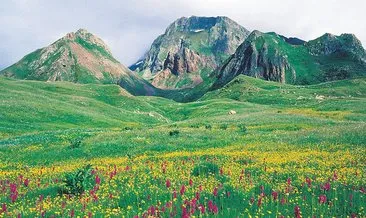 Yeşilin 50 tonu #artvin