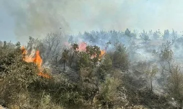 Şırnak’ta ormanlık alanda çıkan yangın söndürüldü