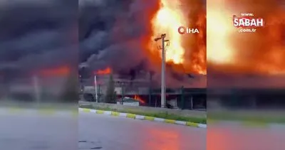 İzmir’de lojistik firmasında korkutan yangın | Video
