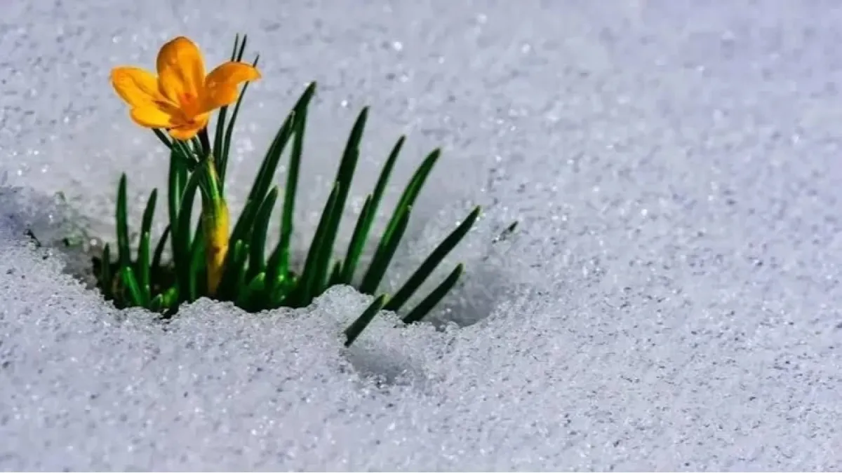 Cemre düşme tarihleri 2026 | Baharın müjdecisi! İlk cemre ne zaman ve nereye düşecek?