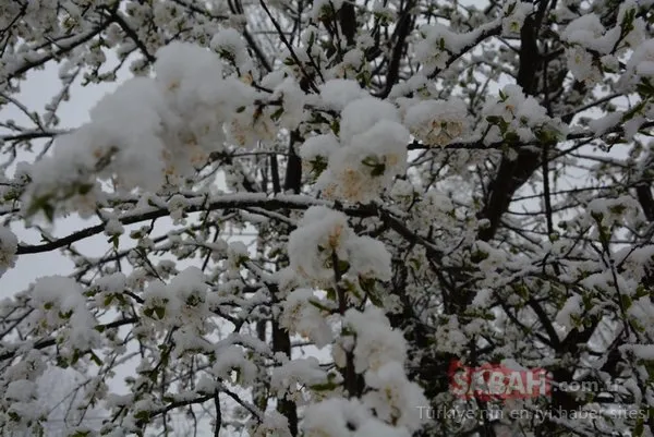 Rize, Ordu ve Giresun'un yaylaları beyaza büründü! İşte büyüleyen kareler...