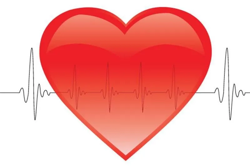 kalp konuşma iwk sağlık sempatoadrenal sistem ve yüksek tansiyon