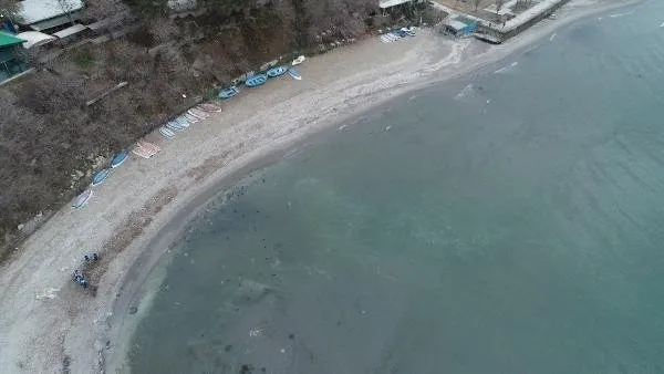 Kandilli'den açıklama geldi: İstanbul'da korkutan görüntü! Avcılar'da deniz metrelerce çekildi!