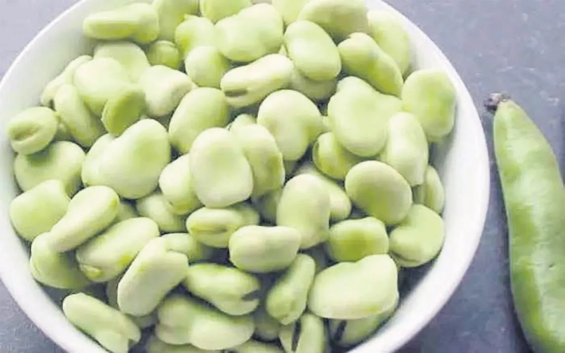 Vitamin deposu bakla