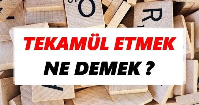 Tekamül etmek Ne Demek? TDK’ya Göre Tekamül etmek Sözlük Anlamı Nedir?