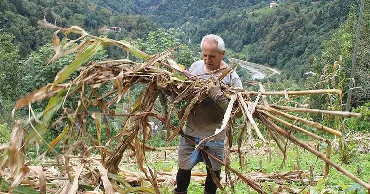 Myanmar’a niyet, Rize’ye kısmet