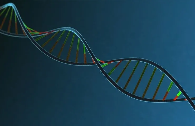 İNSAN DNA’SININ MÜZİĞİ NOTALARA DÖKÜLDÜ