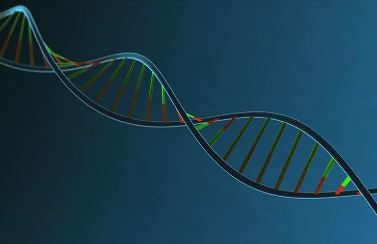 İNSAN DNA’SININ MÜZİĞİ NOTALARA DÖKÜLDÜ