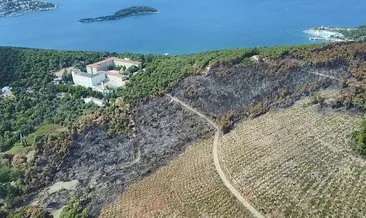 Heybeliada’da 1700 ağaç yandı: Yeşillendirme çalışması başladı