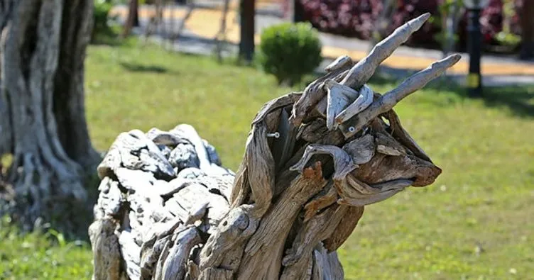 Antalya’da ağaçtan heykeller, bilinçsizlik kurbanı