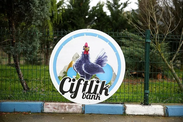 Son dakika İşte Çiftlik Bank dolandırıcısı �tosuncuk� Mehmet Aydın�ın