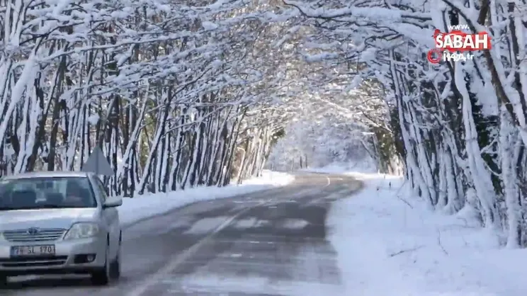 Ağaç tünellerde kar güzelliği | Video