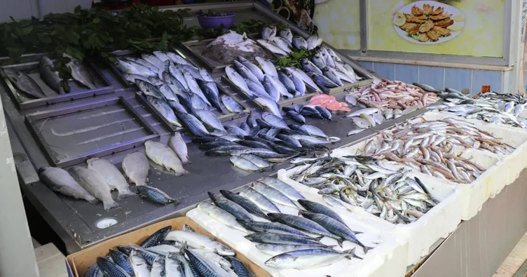 Yasak bitti, balık tezgahları şenlendi