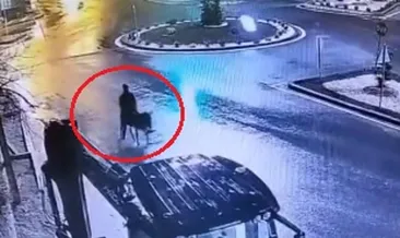 Forkliftle soygun yapıp eşekle kaçmıştı: İstenen ceza belli oldu! #kayseri