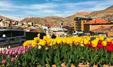 Bayburt’ta 80 bin adet menekşe ve lale soğanı toprakla buluştu