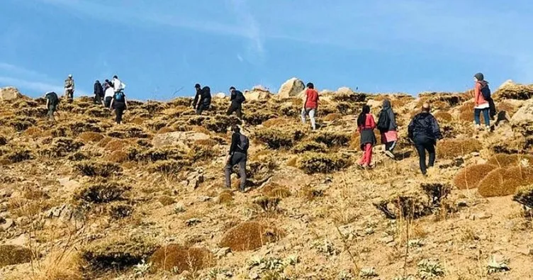Bingöl’de doğaseverler 2 bin rakımda kamp yaptı