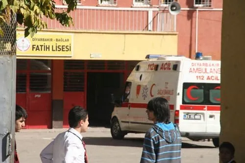 Türkiye'de domuz gribi alarmı