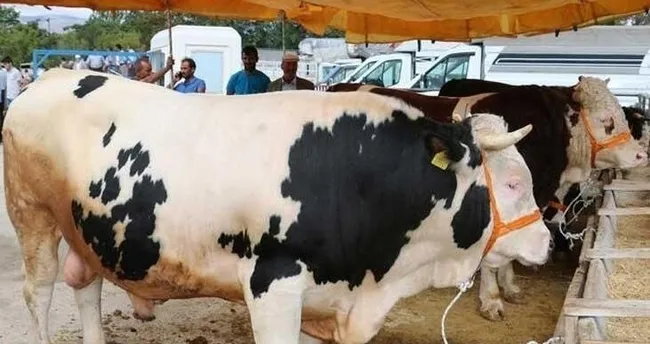 diyanet takvimi 2020 kurban bayrami ne