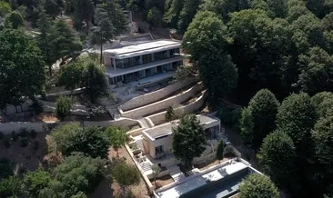 700 bin dolarlık Vaniköy vurgunu