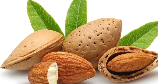 Sağlıklı Yağlar Nelerdir? Doktorların Önerdiği Sağlıklı Yağ İçeren Besinler Listesi