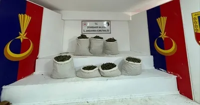 Diyarbakır’da uyuşturucu operasyonu