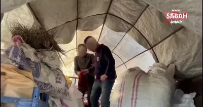 17 yıl hapis cezasıyla aranan cezaevi firarisi çadırda yakalandı | Video