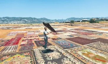 Halı tarlası #antalya