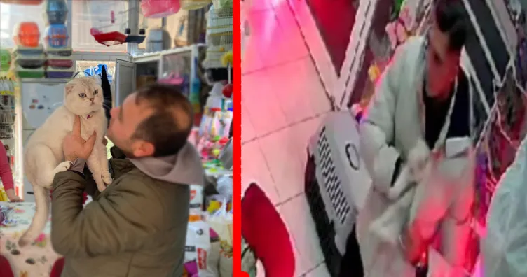 İzmir’de yok artık dedirten olay: Petshoptan öyle bir şey çaldı ki...