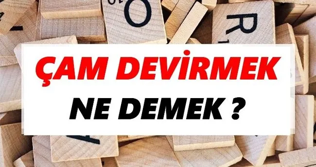 Çam devirmek Ne Demek? TDK’ya Göre Çam devirmek Sözlük Anlamı Nedir?