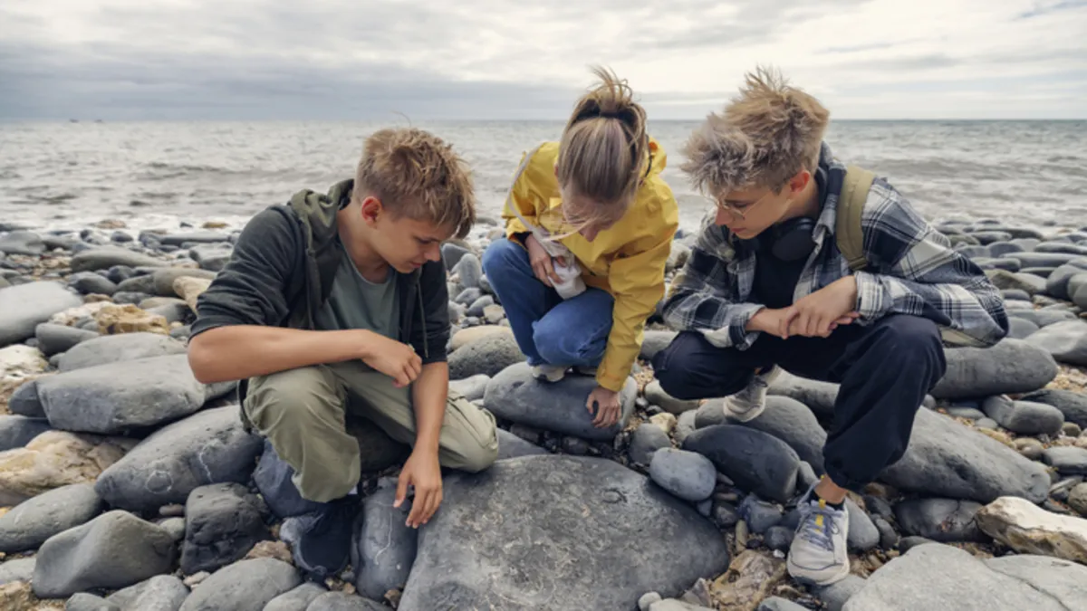 Prototaxites'in 165 Yıllık Gizemi Nihayet Çözülüyor mu? Bilim İnsanları Büyük Keşif Yapabilir!