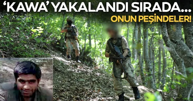 Karadeniz'de PKK'lÄ± 'Kawa' yakalandÄ±, JÃH'ler 'Aras'Ä±n peÅinde