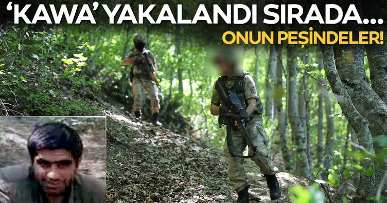 Karadeniz'de PKK'lı 'Kawa' yakalandı, JÃH'ler 'Aras'ın peÅinde