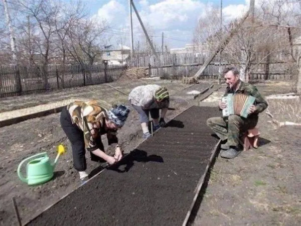 Sadece Rusya`da görebileceğiniz ilginç kareler