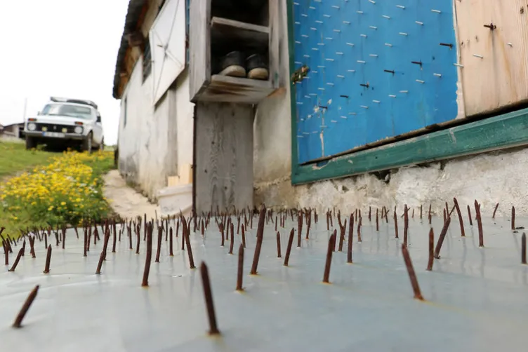 Korku filmi değil gerçek: Ayılardan korunmak için öyle bir yöntem denediler ki…