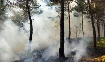 Yangın söndürmeye gitti, kazada öldü