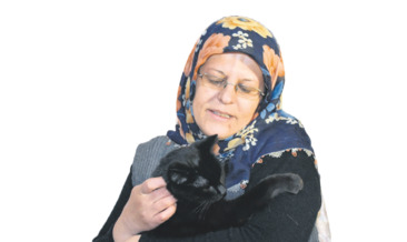‘Kedici Kadın’ 80 kediye annelik yapıyor