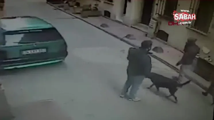 Beyoğlu'nda cep telefonu hırsızlığını köpek önledi... O anlar kamerada | Video
