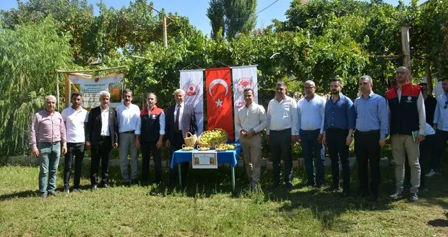 ‘Sarı Renkli Benhat İnciri’ coğrafi işaret aldı
