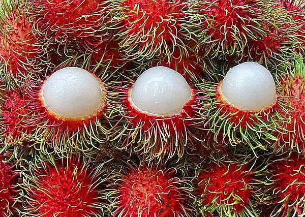 Kolay kolay bulamayacağınız 10 ilginç meyve