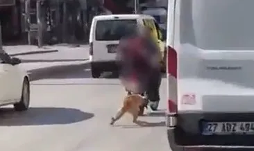 Gaziantep’te vicdanları sızlatan olay: Köpeği motosiklete bağlayıp sürüklediler! #gaziantep