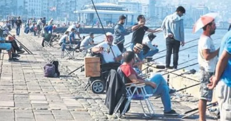 İzmir Körfezi’nde çipura bereketi