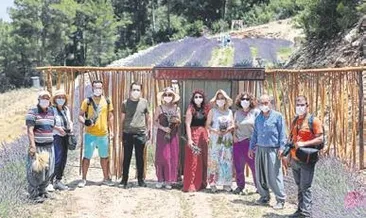 Lavanta tarlasına ziyaretçi akını