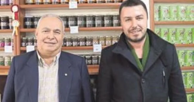 Berrak Tursulari