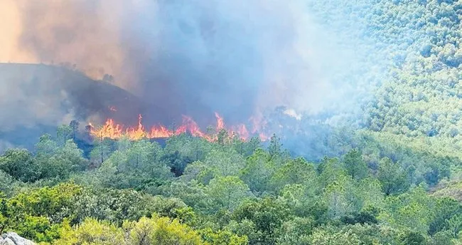 Fransa yanıyor