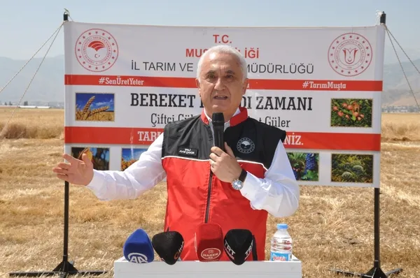 musta-hububat-hasadi-basladi-1784726487397.jpg