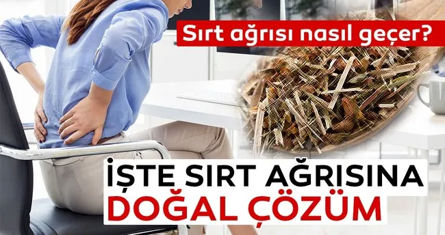 Sirt Agrisi Nedenleri Sirt Agrisi Neden Olur Saglik Haberleri