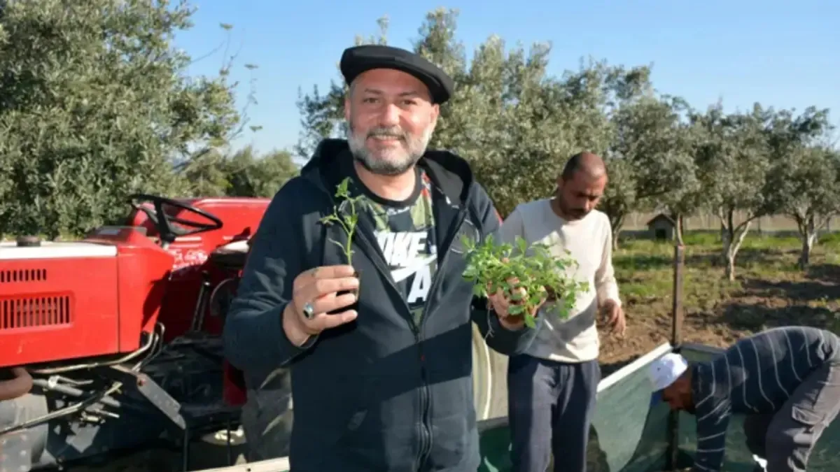 Sahne ışıklarından tarlaya...Hüsnü Şenlendirici’nin yeni hayatı şaşırttı! Çapa yapıp traktör kullanıyor